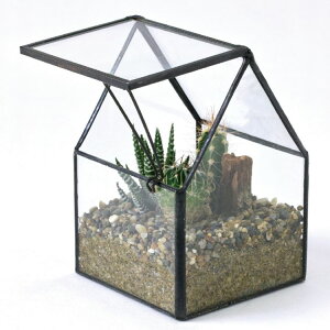 観葉植物 サボテン テラリウムの人気商品 通販 価格比較 価格 Com 観葉植物 サボテン テラリウムの人気商品 通販 価格比較 価格 Com