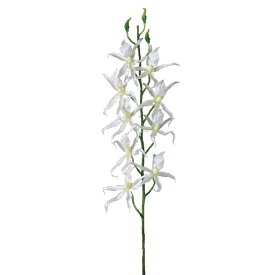 SPICE スパイス SPICE OF LIFE フェイクグリーン スパイダーオーキッド ホワイト KLGK2920WH | ガーデン 植物 フェイクグリーン フェイクグリーン スパイダーオーキッド ボリューム感