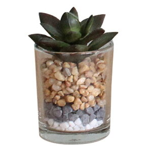 SPICE XpCX SPICE OF LIFE tFCNO[ ~jKX|bg C TADY7160C | K[f A tFCNO[ t   |bg 킢炵 C~e[VO[ O[ C~e[V f