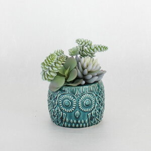 SPICE XpCX SPICE OF LIFE tFCNO[IE|bg u[ LTCY TADY7273BL | K[f A tFCNO[ tNE|bg Ԃ C~e[V GAvc Mtg IXX