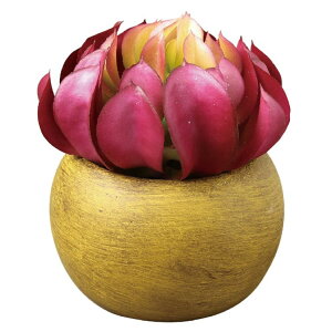 SPICE XpCX SPICE OF LIFE tFCNO[ y[p[}bV|bg ZyrE TADY9250 | K[f A tFCNO[ tH 炵 ~j|bg A ZyrE C