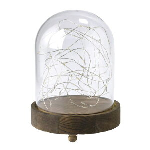 SPICE �X�p�C�X SPICE OF LIFE LED�K���X�h�[�����C�g JPDR2010 | �C���e���A �����v LED �K���X �h�[�� ���C�g