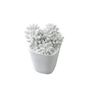 SPICE �X�p�C�X SPICE OF LIFE Elegant deco �T�{�e���I�u�W�F B �z���C�g KMDR2080B | �f�B�X�v���C����