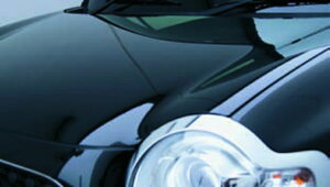 SUZUKI XYL  ECSTAR {fBR[g SieiXLbgtj F9GX 99000-320K0-001 | HUSTLER nX[ ԗpi J[pi p[c i   R[eBO eiX {fB[ ی  