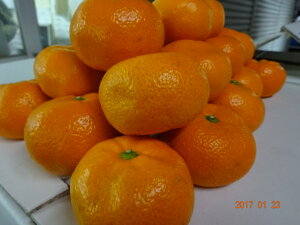 󂠂݂4kgOEl΁ELY݁Aɑ݂ł