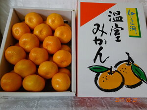 みかん 1000円の人気商品 通販 価格比較 価格 Com