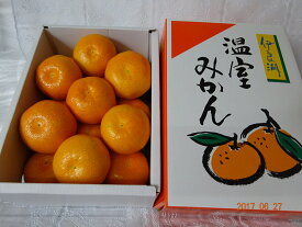 楽天市場 伊良湖みかんの通販