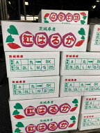 茨城産　藤井商店の　甘いさつまいも　紅はるか　2Lサイズ　約5kg