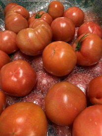 愛知産　訳ありトマト約3kgりX1ケース豊橋産のハウストマトに変わりました。 訳ありトマト トマト 訳あり 愛知県 お取り寄せ とまと 国産