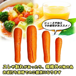 Y@Hp󂠂@lQiTCYCj10kg iW[XEHpj傫߂ł