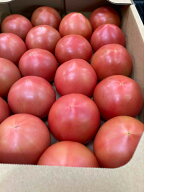 愛知産　　トマト約4kgりX1ケース