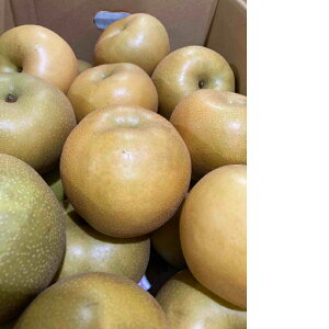 Y@󂠂@V@2.5kg`3kg@1P[X@󂠂ł̂ő召Aό`܂܂ɂȂ܂L̐ΊnAL쉈ł͐̂痜AVĂ܂