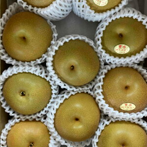 Y@󂠂@@2.5kg1P[X@󂠂ł̂ő召Aό`܂܂ɂȂ܂i̎̕iɂȂ܂LAHAVA쐅AV
