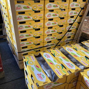 j[WhY@@[Xv@TS[hLBEC[5.5kg@1P[X