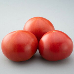 mY@ۋʃg}g@4kgm̓g}gł