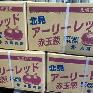 Y@ԋʂ˂iA[[bhjL`LTCY@10kg