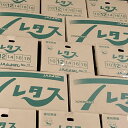 国産　レタス L～3L　12～20玉