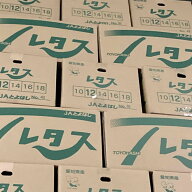国産　レタス L～3L　12～20玉