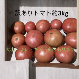 愛知産　訳ありトマト約3kgりX1ケースクール便にて送ります奥三河産の夏秋トマトです
