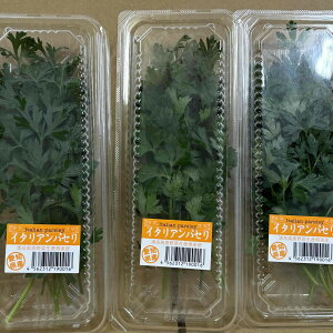 �L���Y�@�C�^���A���p�Z���@10g�p�b�Nx10