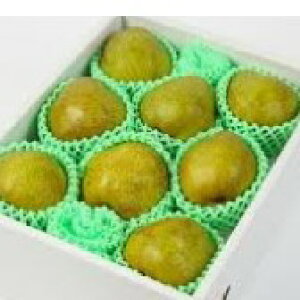 YiER`jtX@2.5kgi5`12ʁjñgg̖̎\Ă