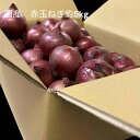 日本産　赤玉ねぎ（アーリーレッド）Mサイ　約5kg