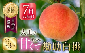 �L�����Y�@���������@��2.5kg�`3kg����L�����܂�̓��ł��B