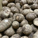 中国産　里芋　約10kg