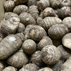 中国産　里芋　約10kg