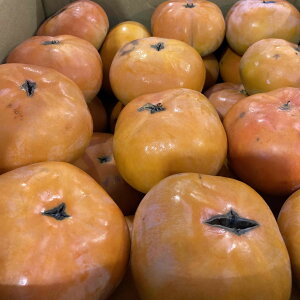 LY 󂠂 LY Y` 10kg ` 