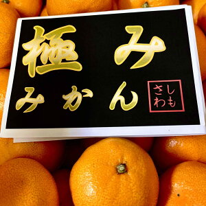 ÉAOPAl΁AS@@󂠂݂@STCY@4kgʐ^̓C[WłBiۏ؂̂ł͂܂BlΉ܂B