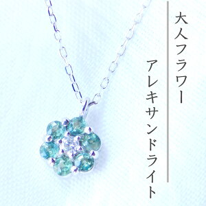 ySi12off 12/4 204ԌIzy e1{zALThCg lbNX CG[S[h zCgS[h _Ch l t[ Vv  30 40 50