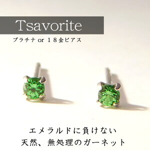 ySi13offI 11/20 204Ԍ ubNtCf[N[|zzłzyLLȋPzc@{Cg O[K[lbg sAX fB[X Y v`i 18 ZJhsA