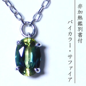 �y�o�C�J���[�z�T�t�@�C�A �l�b�N���X ���f�B�[�X ���A�J���[ �ӕʏ��t�� �y���_���g �v���`�i ����1�{