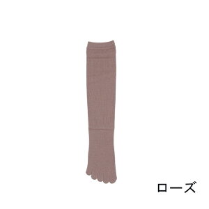 [݌Ɍ] y{z C fB[X 5{w 32cm  C ԊO nC\bNX 22-24cm ubN O[ x[W [Y g C ~ ߕtȂC ܖ{wC fB[X 5