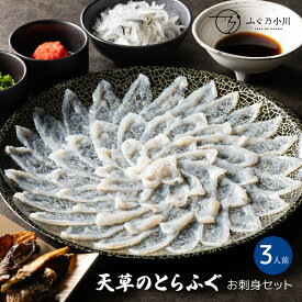 ふぐ刺身セット 約3人前 ギフト ふぐ フグ ふぐ刺し お取り寄せ 敬老 敬老の日 天草 とらふぐ ふぐ鍋 ふぐちり ふぐ皮 ひれ酒 鰭 刺身 冷蔵 送料無料