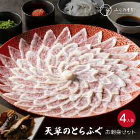 ふぐ刺身セット 約4人前 ギフト ふぐ フグ ふぐ刺し お取り寄せ 敬老 敬老の日 天草 とらふぐ ふぐ鍋 ふぐちり ふぐ皮 ひれ酒 鰭 無毒のとらふぐ 冷蔵便