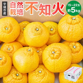 先行予約 不知火 約5kg（15〜22玉） 【2027年3月上旬から2027年4月中旬発送予定】 自然栽培 農薬不使用 みかん 蜜柑 柑橘 国産 九州 熊本県 宇城市 しらぬい 株式会社la Nui.
