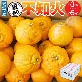 先行予約 訳あり 不知火【選べる内容量】約3kg（7〜12玉）もしくは 約5kg（15〜22玉） 【2027年3月上旬から2027年4月中旬発送予定】 しらぬい みかん 蜜柑 柑橘 お取り寄せ 国産 九州 熊本県 宇城市 株式会社la Nui.