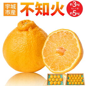 先行予約 不知火【選べる内容量】約3kg（7〜12玉前後）もしくは 約5kg（15〜22玉）【2027年3月上旬から2027年4月中旬発送予定】 しらぬい 蜜柑 ミカン 柑橘 国産 九州 熊本県 宇城市 株式会社la Nui.