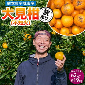 先行予約 【2027年2月上旬から2027年2月下旬発送予定】熊本 大見柑 不知火 訳あり【選べる内容量】約2kg (6〜13玉) 約4.5kg (13〜24玉) 約9.5kg (25〜50玉) 約19kg (50〜96玉) しらぬい デコポン みかん 柑橘 フルーツ 果物 果実 国産 九州 熊本県 宇城市 株式会社la Nui.
