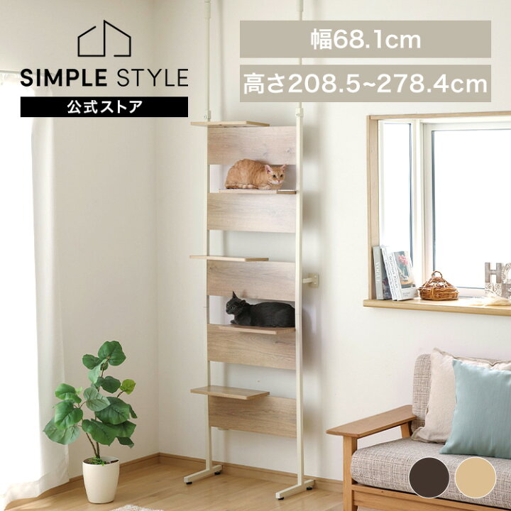 楽天市場】【最大3,333円OFFクーポン配布中☆20日01:59迄】キャット 