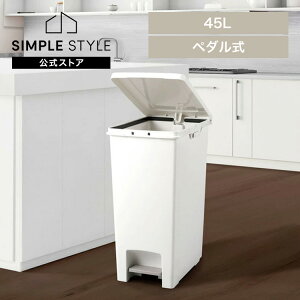 �yLINE���F�����o�^�ōő�1,500�~OFF�N�[�|���z�S�~�� �C���e���A �_�X�g�{�b�N�X �G�o�� �y�_���y�[��45L �z���C�g A6003 �y�_���y�[�� �S�~�� �����y�[�� �肪�G��Ȃ� �_�X�g�{�b�N�X �V���v