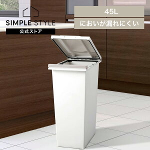【LINEお友だち登録で最大1,500円OFFクーポン】ゴミ箱 インテリア ダストボックス エバンMP 密閉プッシュペール45L ホワイト A6403防臭 臭い漏れ 生ごみ プッシュペール ゴミ箱 パッキン付 臭い対