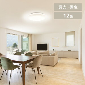 V[OCg LED 12p LEDV[OCg 5.0QV[Y 12  F v[ CEA12DL-5.0Q 12  F ی^ ^C}[ ߓd[h ȃGl Rt Ɩ VƖ LEDCg 