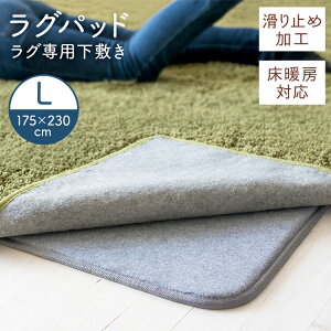 �yLINE���F�����o�^�ōő�1,500�~OFF�N�[�|���z���O�}�b�g ���� �􂦂� ���~�� �����΍� �h�� �V���v�� ���� �J�[�y�b�g ���g�[ ����~�ߕt�� ���O�p�b�h L �O���[ RGPD-L SimpleStyle �V���v���X�^�C