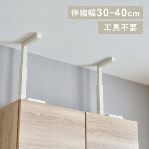 ˂_ I  ϐkObY ϐko[ Ƌ]|h~ ϐko[ Lk_ Xgbp[ 30`40cm Hsv STCY KTTB-S ACXI[} V
