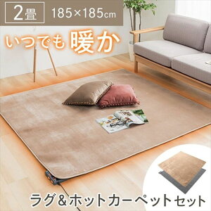 �yLINE���F�����o�^�ōő�1,500�~OFF�N�[�|���z�J�[�y�b�g ���O �z�b�g�J�[�y�b�g�Z�b�g TEKNOS ���O�{2���p�J�[�y�b�g2�_�Z�b�g �x�[�W�� HCMF-IR200TEKNOS �d�C�J�[�y�b�g �J�o�[�t�� 2���p �x�[�W