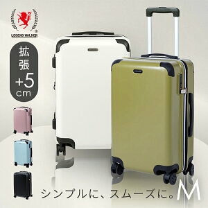 X[cP[X MTCY g y g y L[P[X 킢L[obO ő61L 3.9kg 3-5 4 Cws COs g\ _CbN LX^[ ABS{fB |J[{l[g