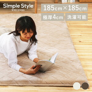 ���O 4cm �Ɍ� ���� ���� �ӂ�����{�����[������Q���O 2�� 185x185 �~ ����Q���O �u���E�� �x�[�W�� �J�[�y�b�g �O�~ ���O�}�b�g �N�b�V�������O ���ׂ�~�� �V���v�� ORG-V1818